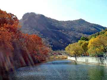 澳门二四六天天彩图库，野猪仔